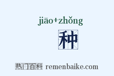 燋种是什么意思的图片